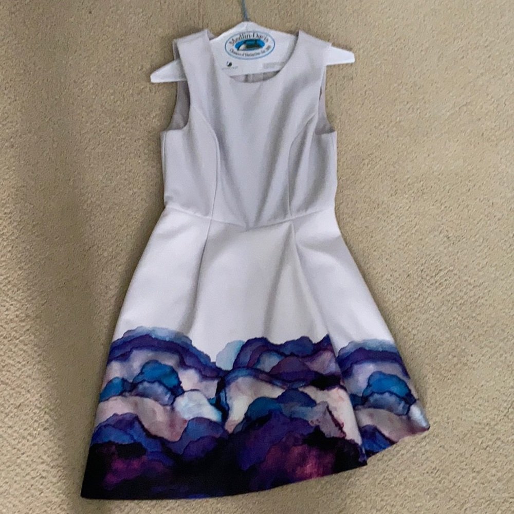 Stylestalker watercolor dress worn once